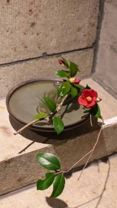 椿の器考 作品・展示 1