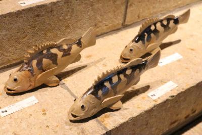 第5回 大島晴男 陶魚展（大島晴男） 作品 8