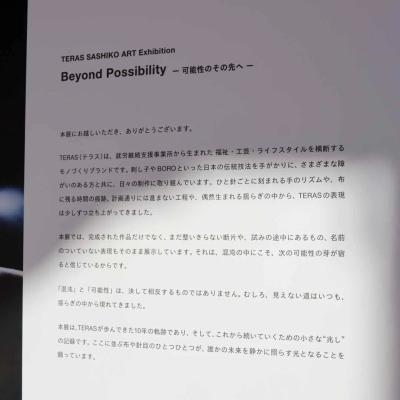 TERAS SASHIKO ART Exhibition「Beyond Possibility ~可能性のその先へ~」in Art Space Jonaizka 作品・展示 12