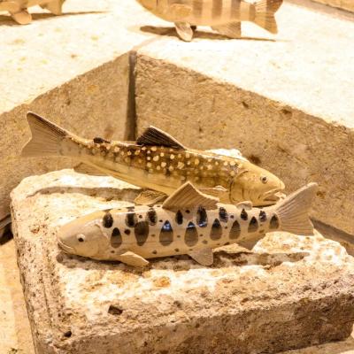 第7回 大島晴男 陶魚展（大島晴男） 作品 3
