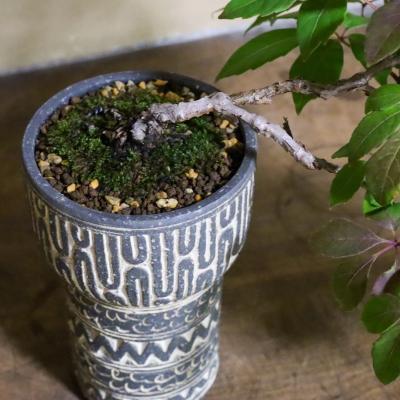 第6回 荻野善史展（荻野善史） 作品 13