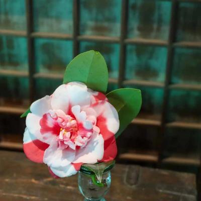 椿の器考 作品・展示 1