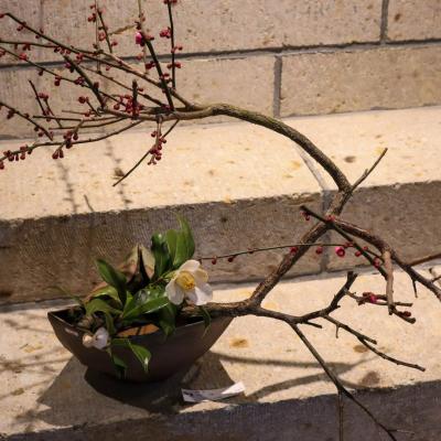 椿の器考 作品・展示 9