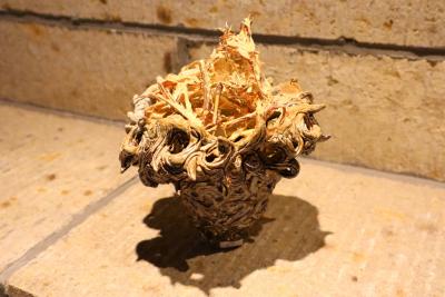 「益子、ウチソト」陶と写真の二人展（今成誠一） 作品 5