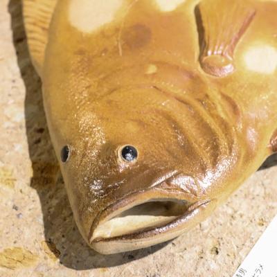 第7回 大島晴男 陶魚展（大島晴男） 作品 14