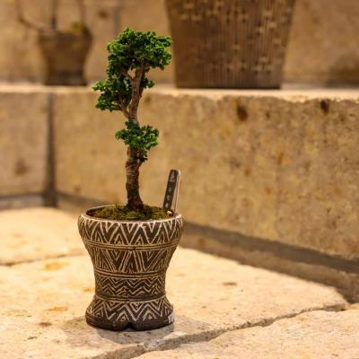 第7回 荻野善史展（荻野善史） 作品 9