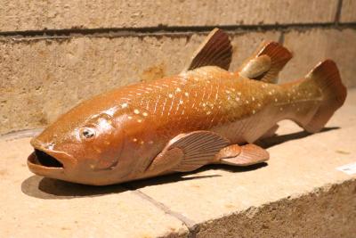 第5回 大島晴男 陶魚展（大島晴男） 作品 15