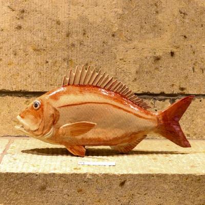 第7回 大島晴男 陶魚展（大島晴男） 作品 4