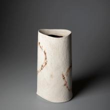 沼野秀章 代表作