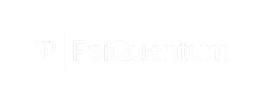 PsiQuantum