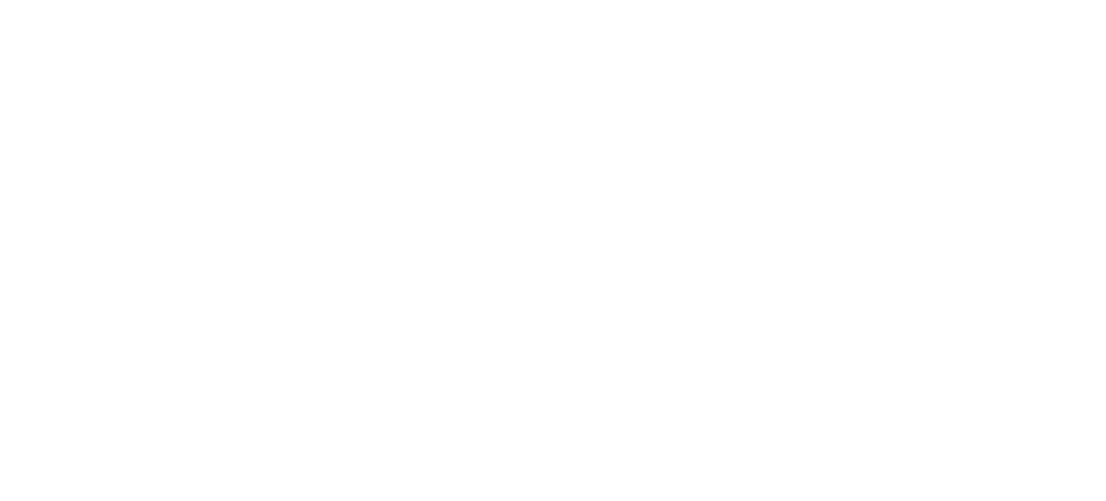 Cerebras Systems