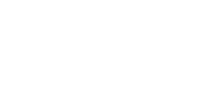 Perplexity