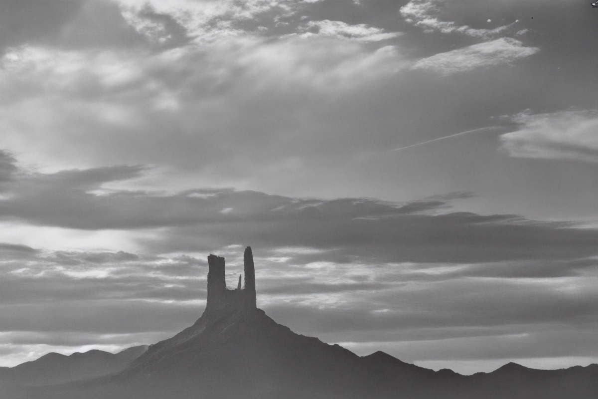 Image generated by a biased diffusion model