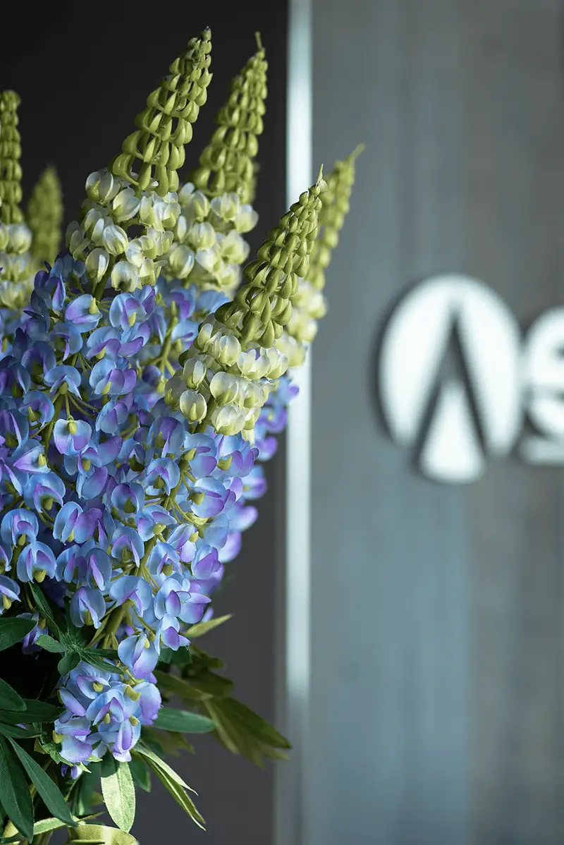 Ascension Salon - Gallery image 6