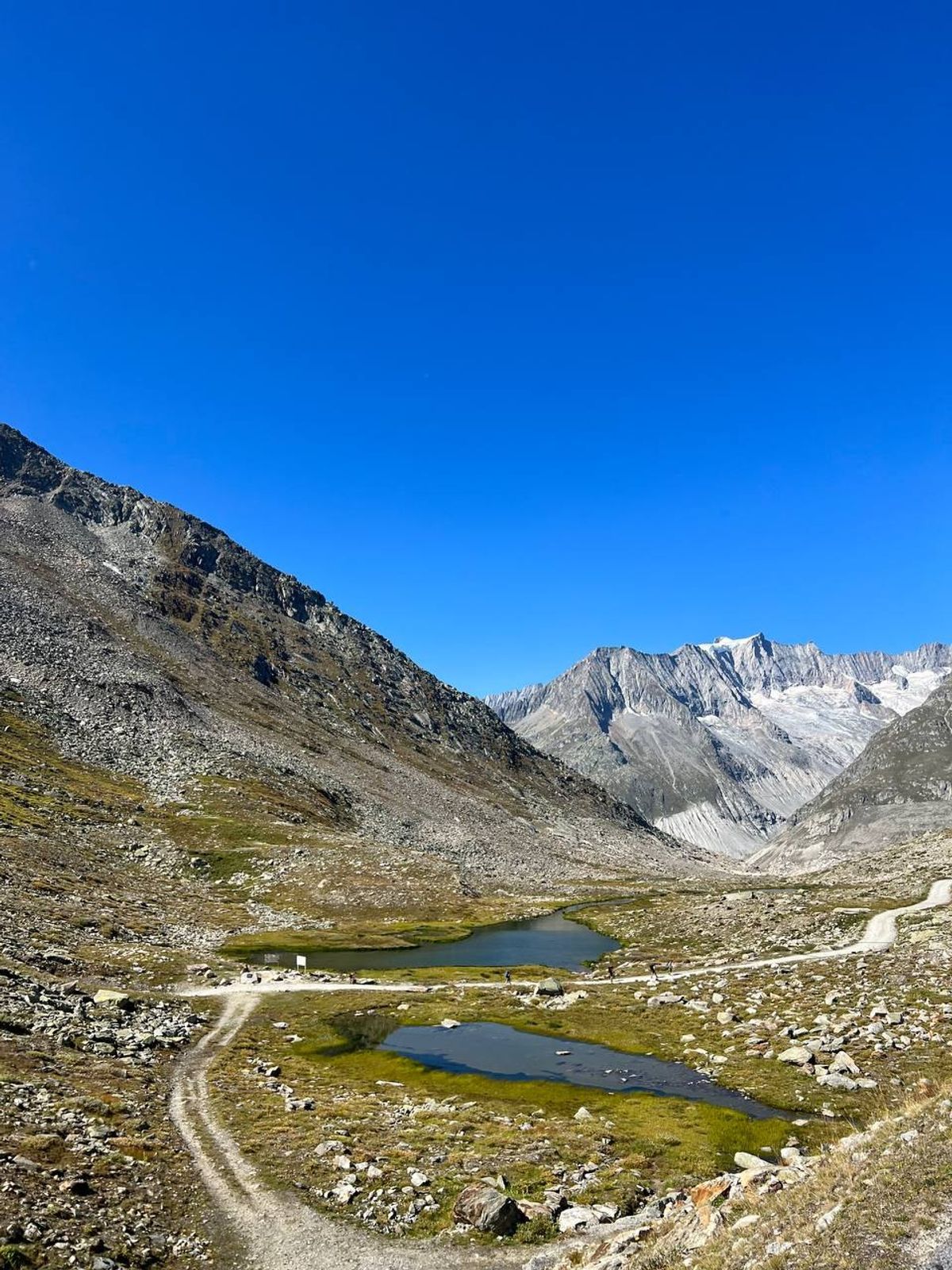 Alps — 3