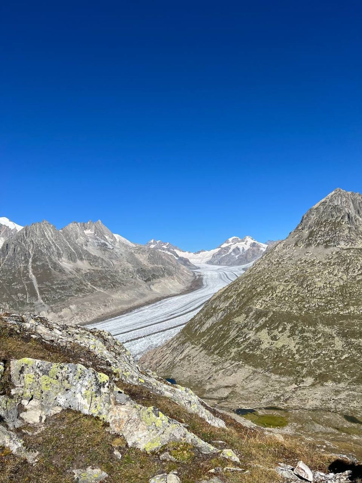 Alps