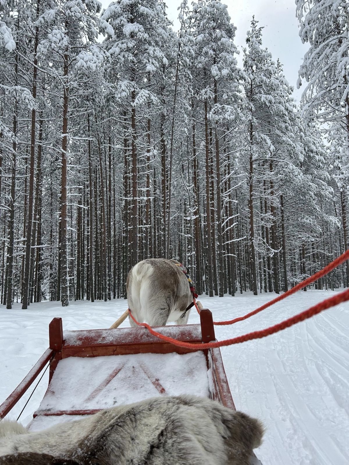 Lapland