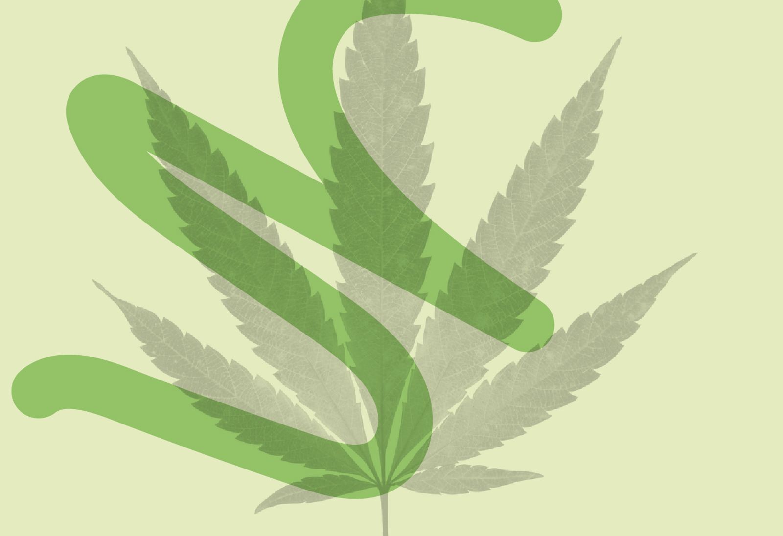 In the News: Tanj Quoted in Entrepreneur on Cannabis Company Naming