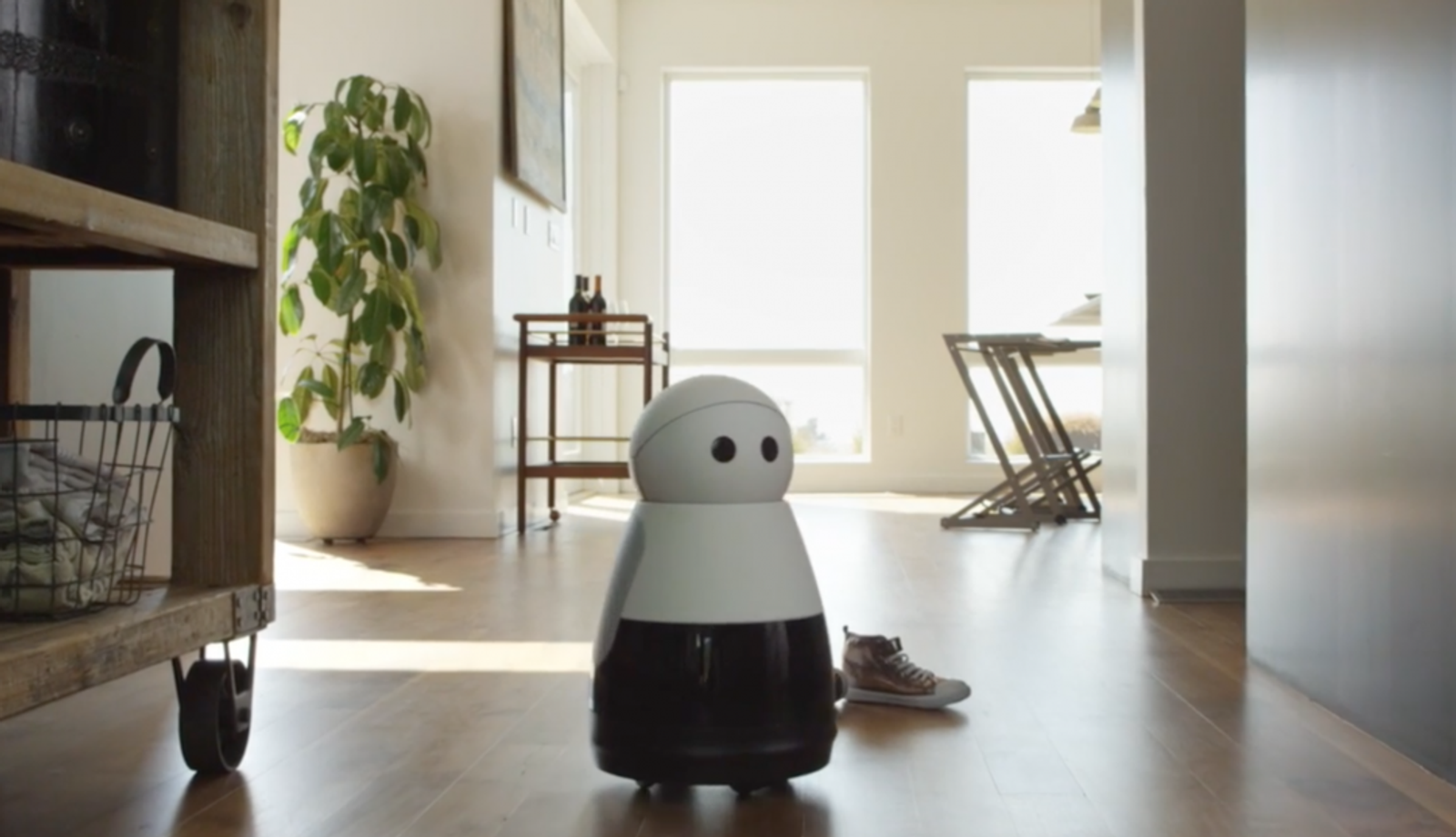 Say Hello to Your New Robot Friends