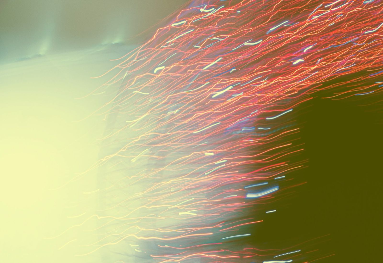 The Philosophy of Naming: How Meaning Shapes Brands
