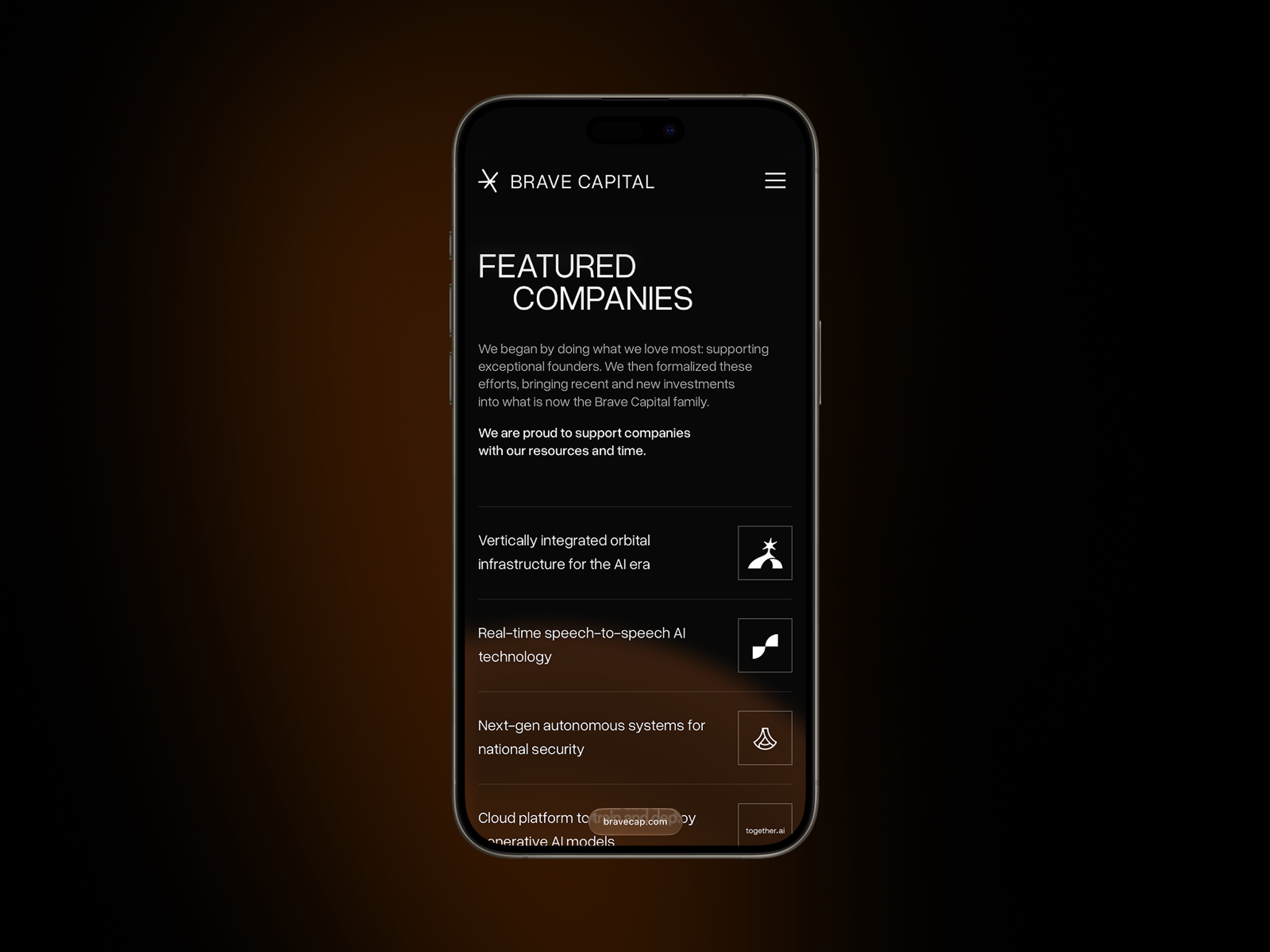 Brave Capital  cover image