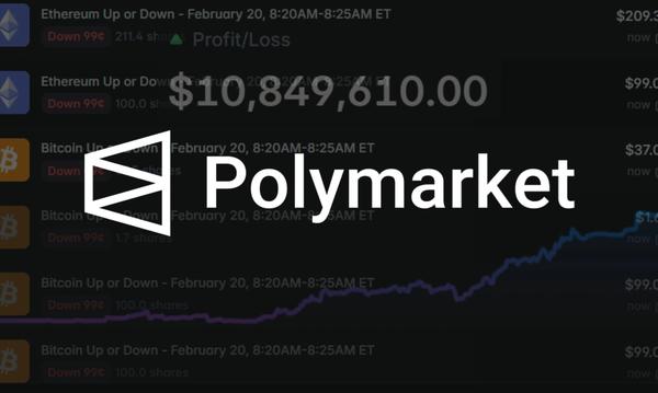 Polymarket 獲利模型全拆解：聰明錢的六大策略、行為偏誤與散戶可落地方法論