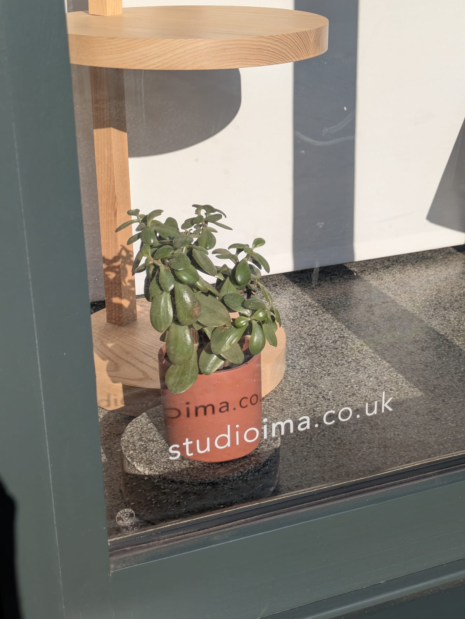 Spring Studio Photography