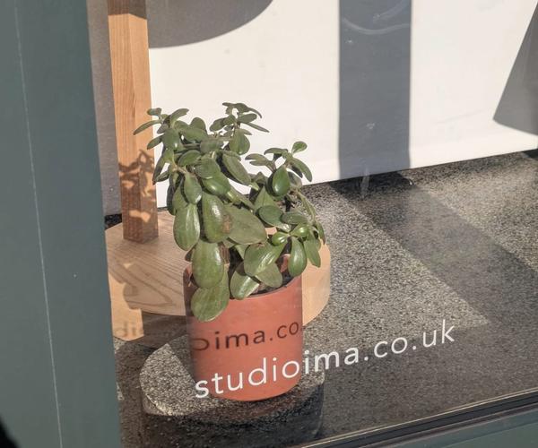 Spring Studio Photography