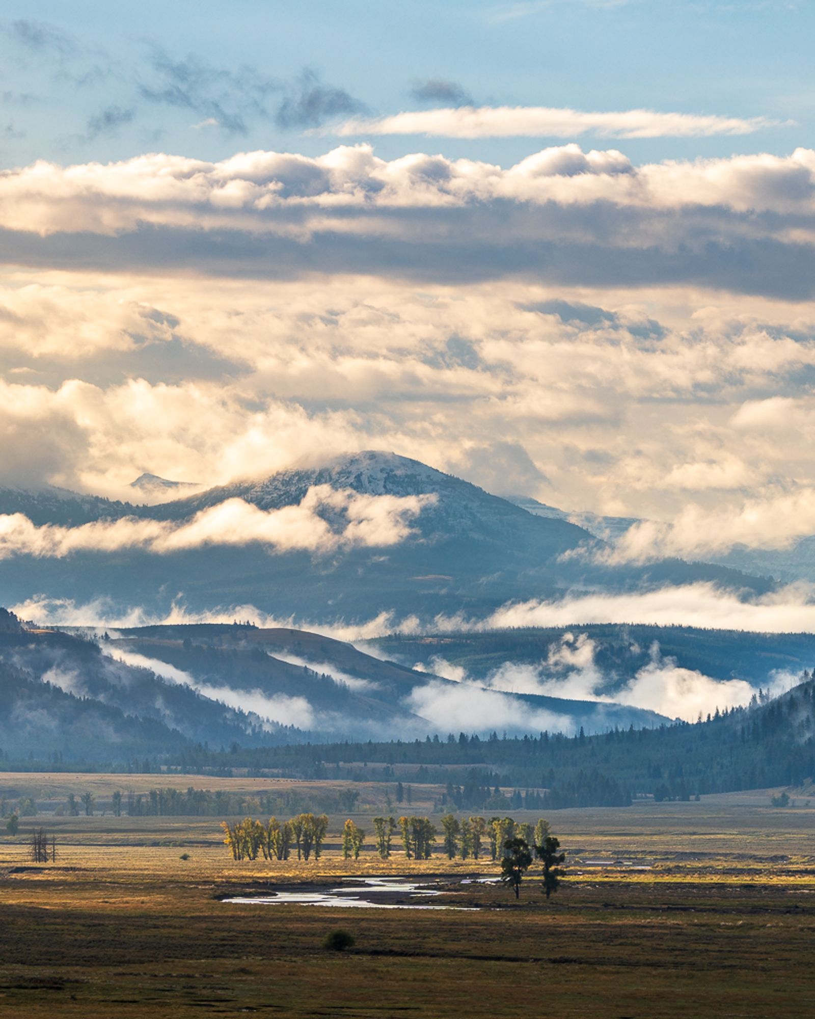 The beautiful Lamar Valley in Yellowstone National Park