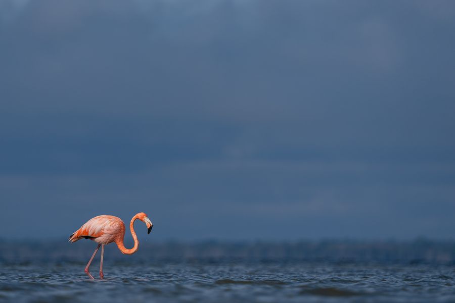 Florida