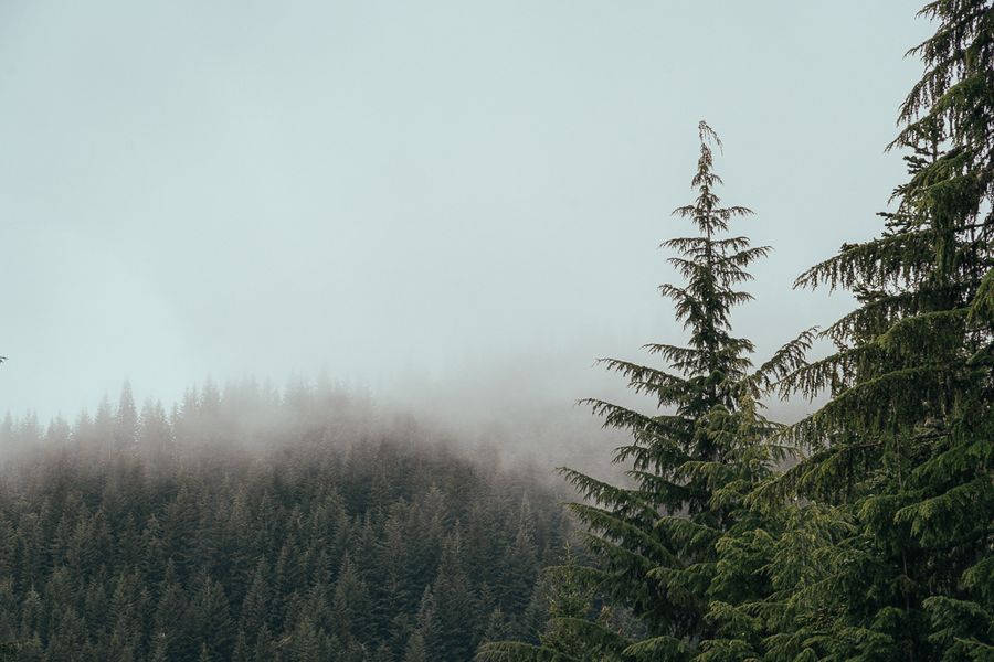Landscapes