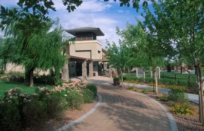 The Willows