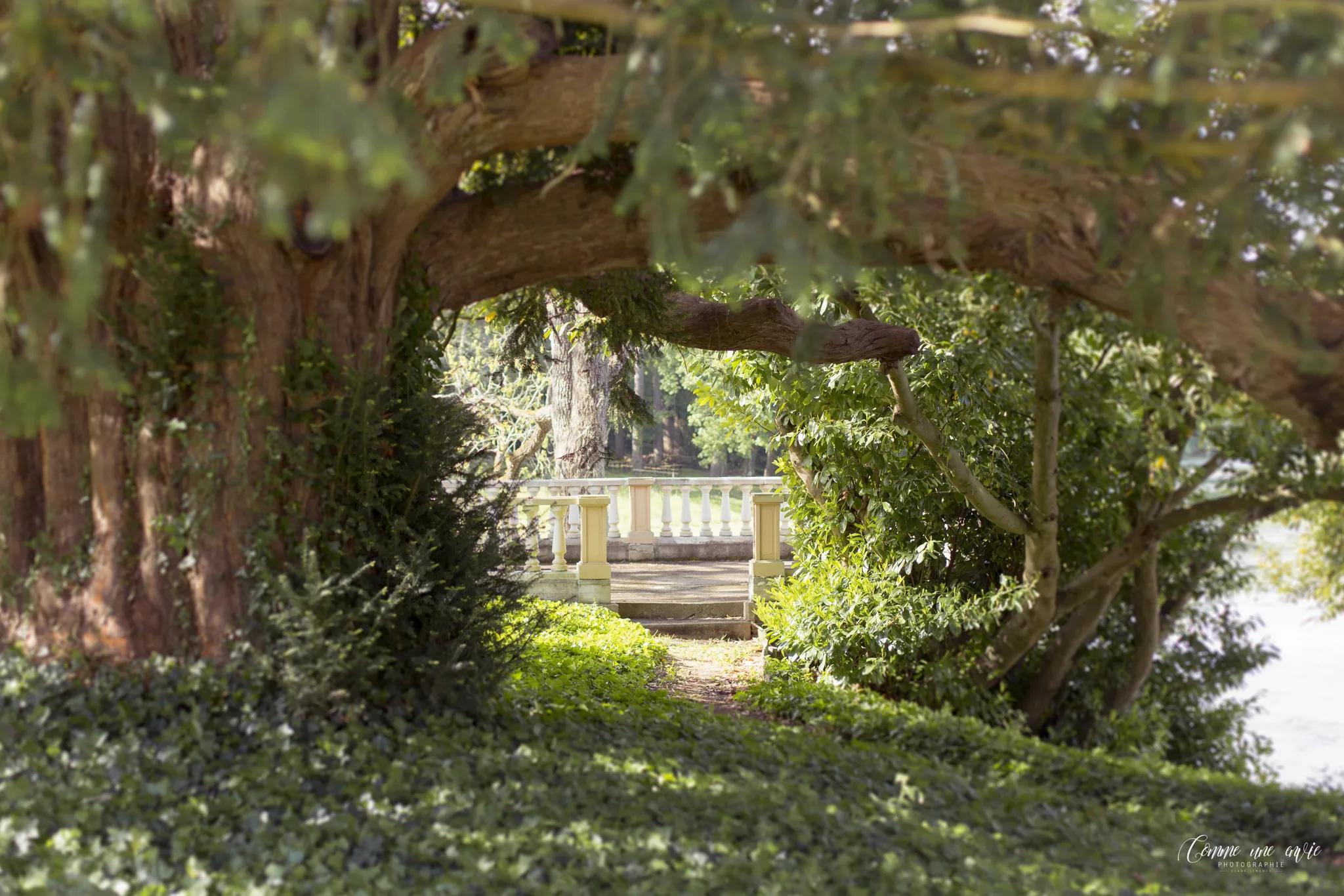 The balustraded terrace glimpsed beneath the park's foliage