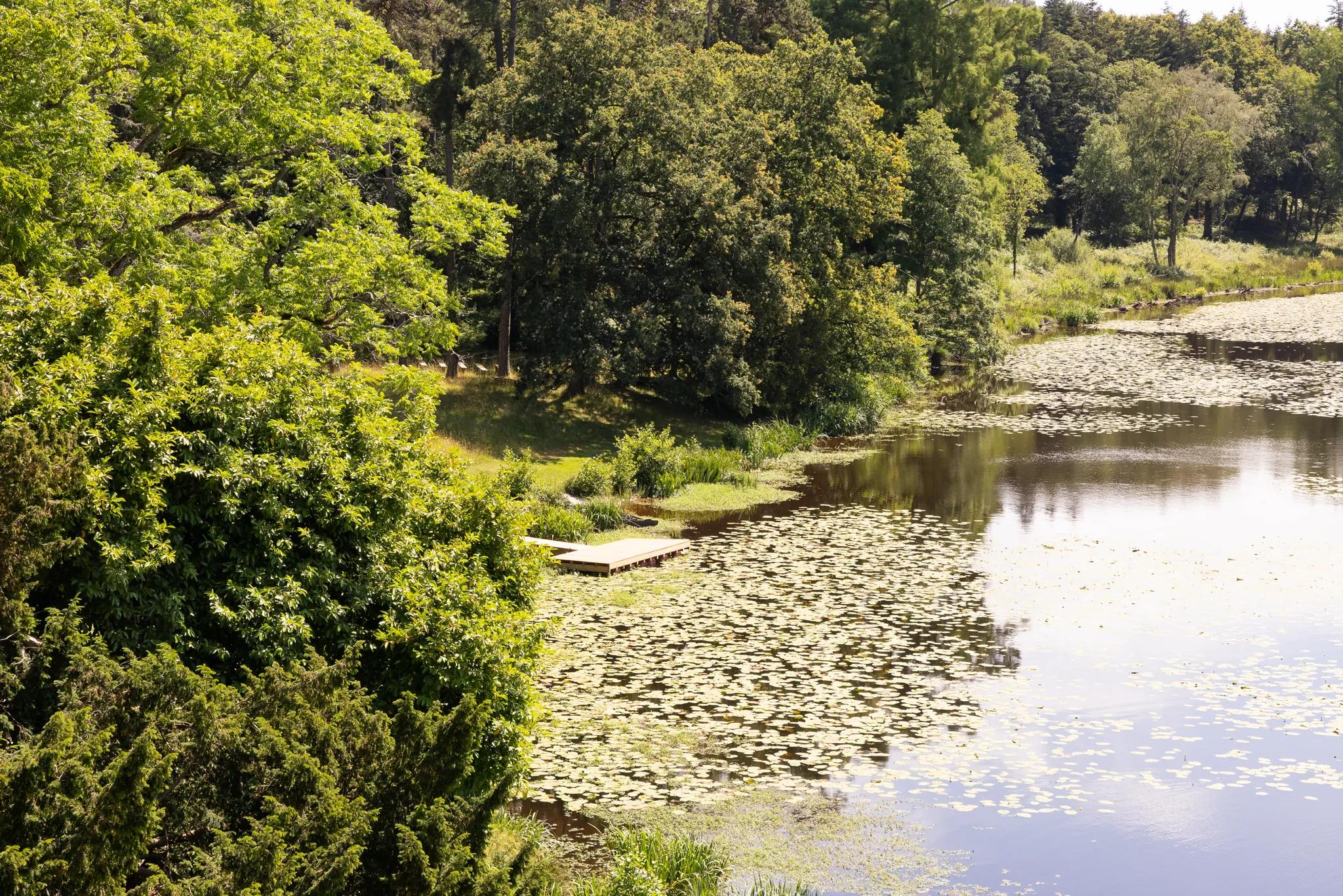 The water-lily lake and its wooden jetty