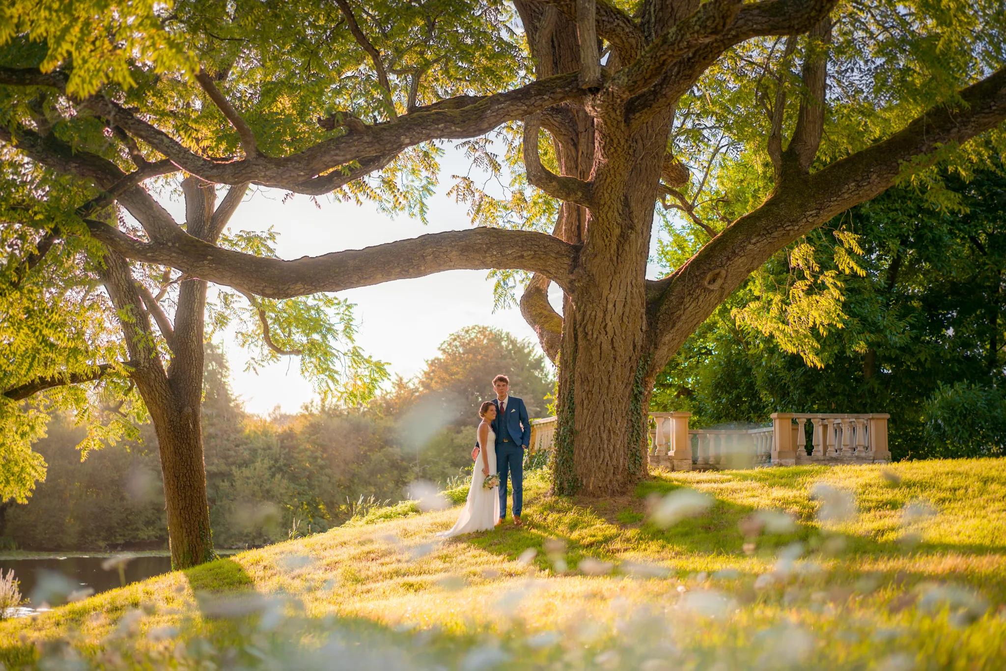 Les mariés sous le grand chêne du parc, au soleil couchant