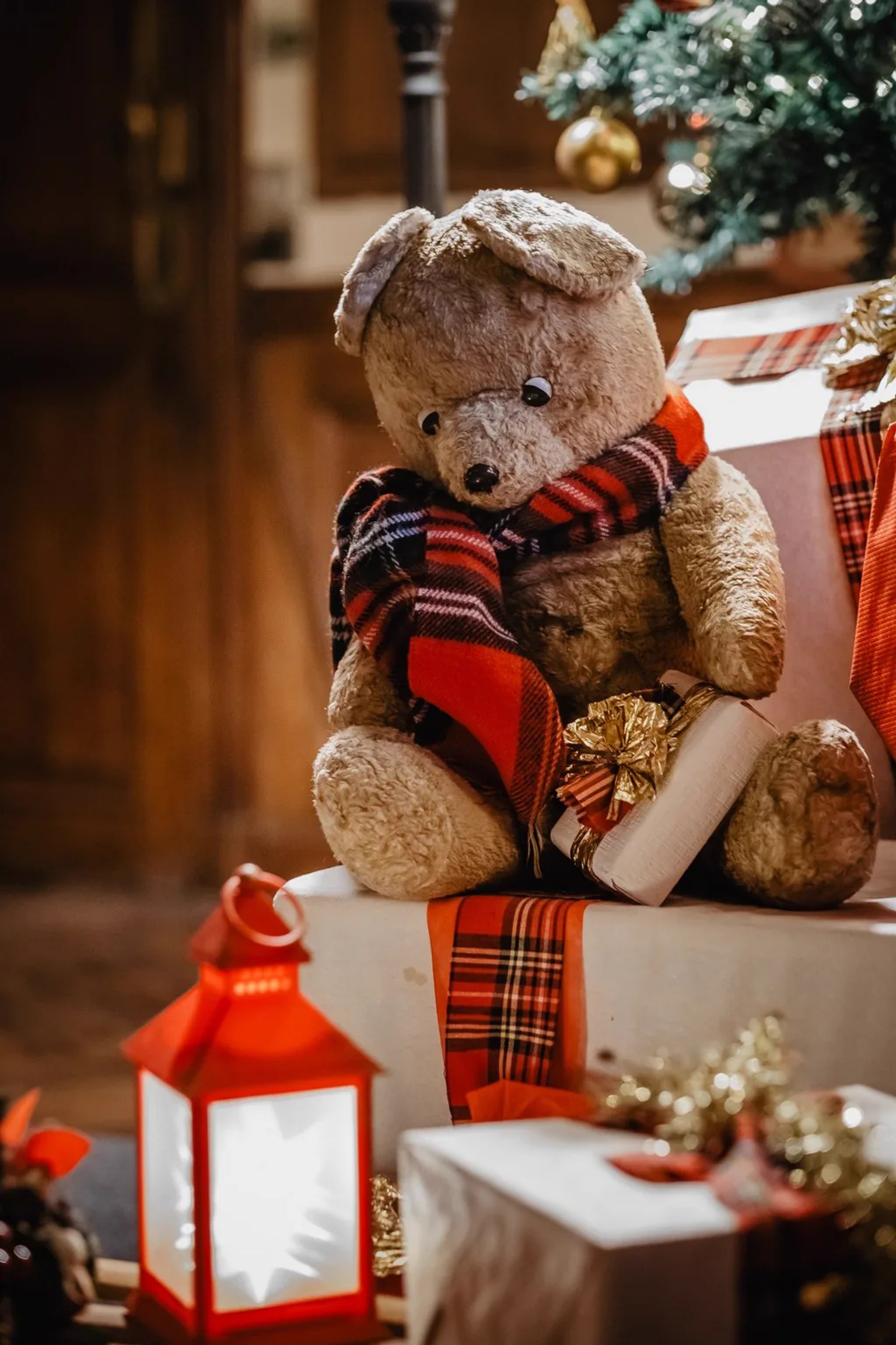 Un ourson au foulard écossais, entre les lanternes et les cadeaux