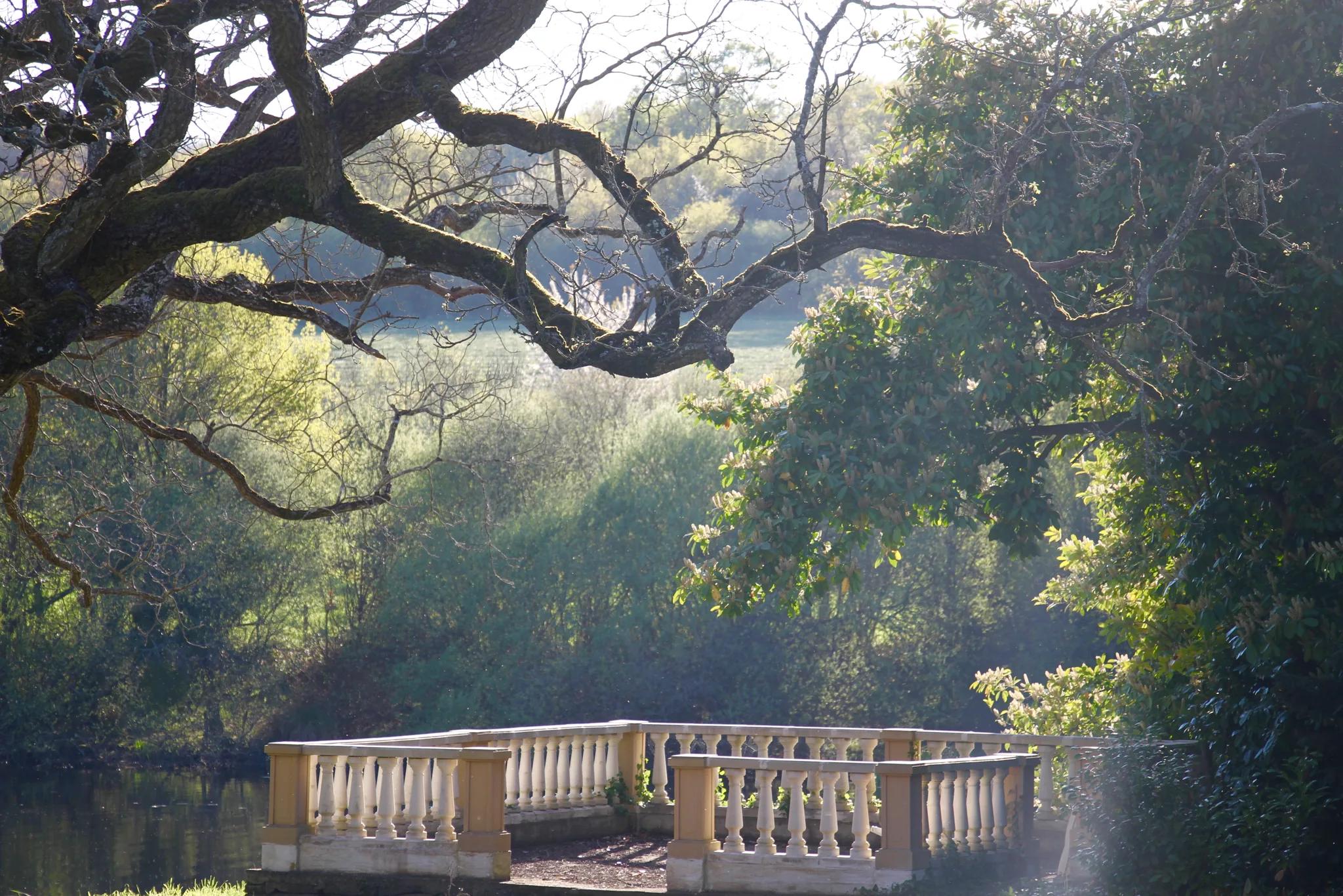 The balustraded terrace by the lake, beneath the boughs of a century-old tree
