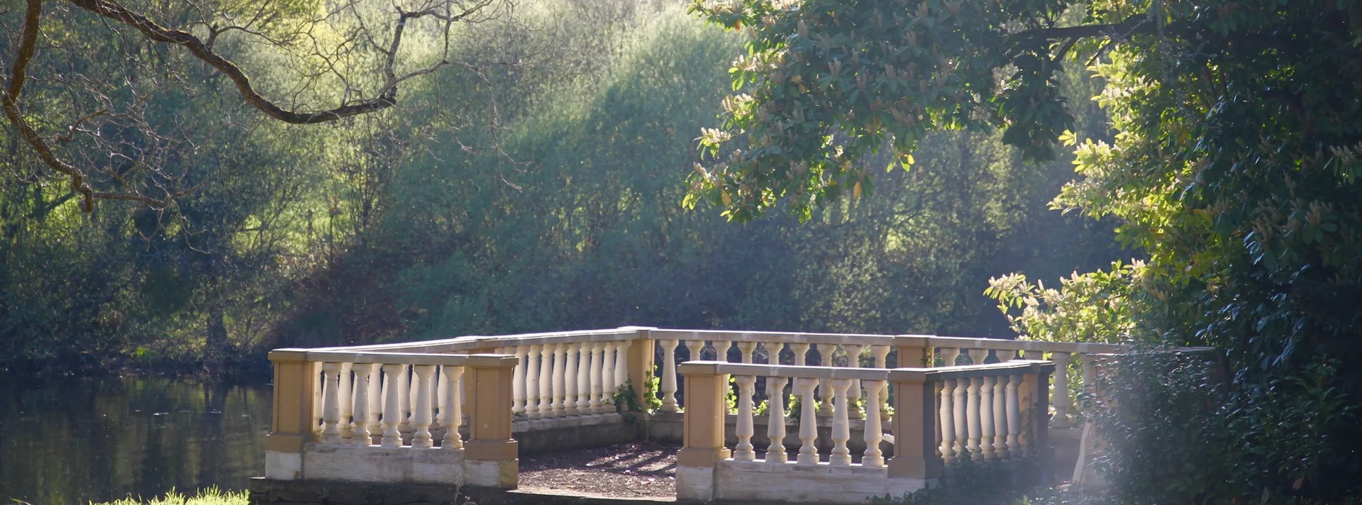 La terrasse à balustrade au bord de l'étang, sous les branches d'un arbre centenaire