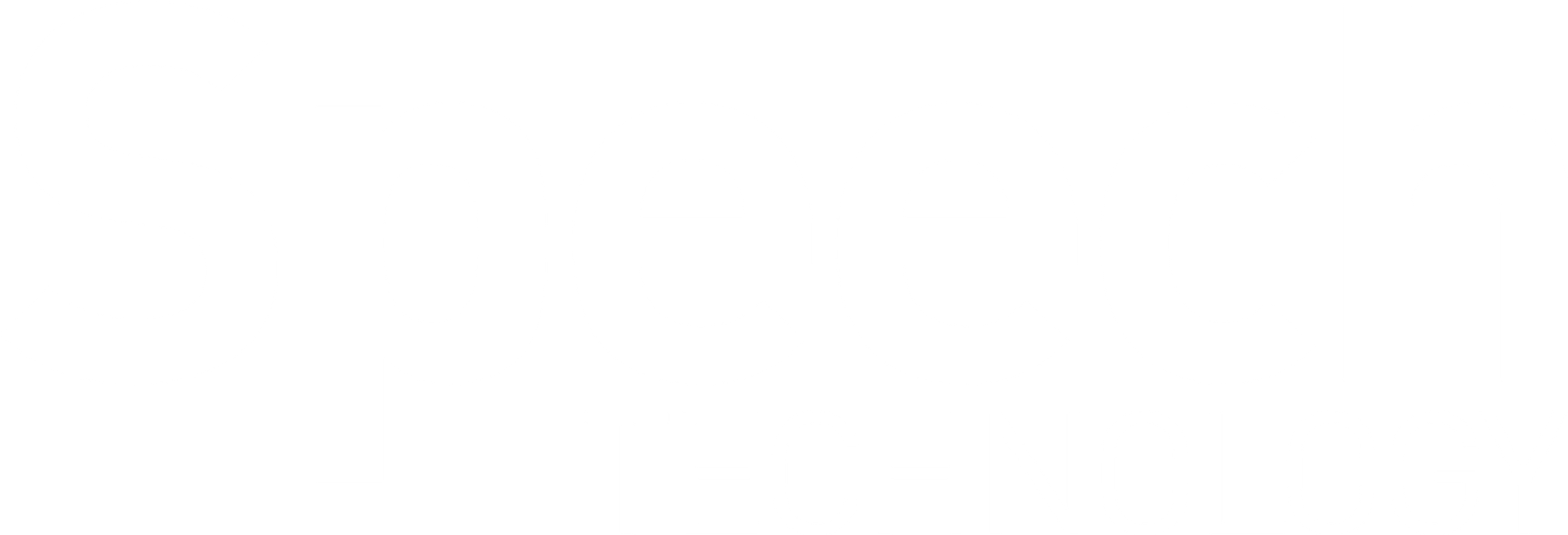 Speech Technology dark logo