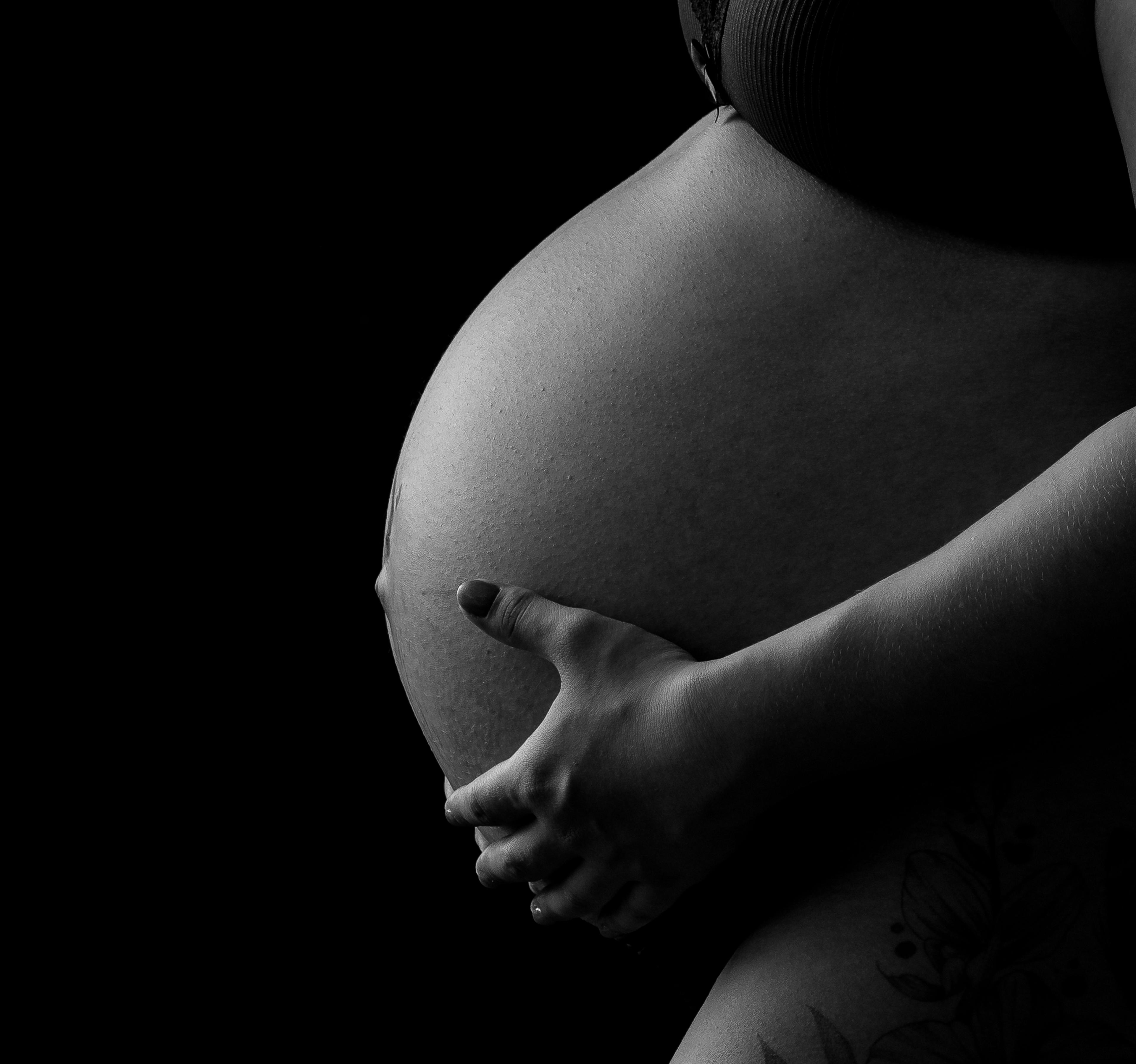 Gravid