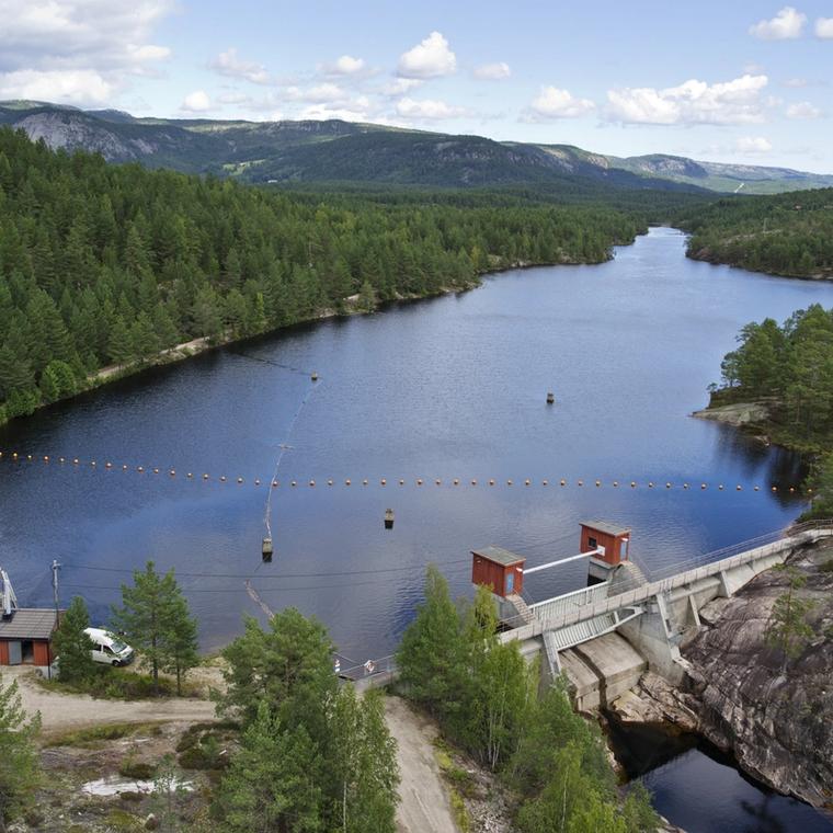 Kraftverk, vann, skog. Foto.