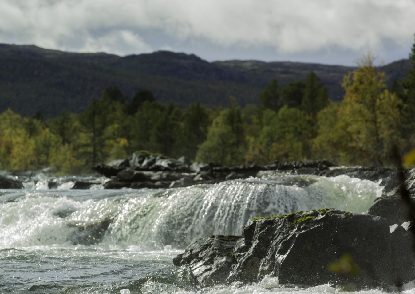 Bygger Nytt Kraftverk I Numedalslågen