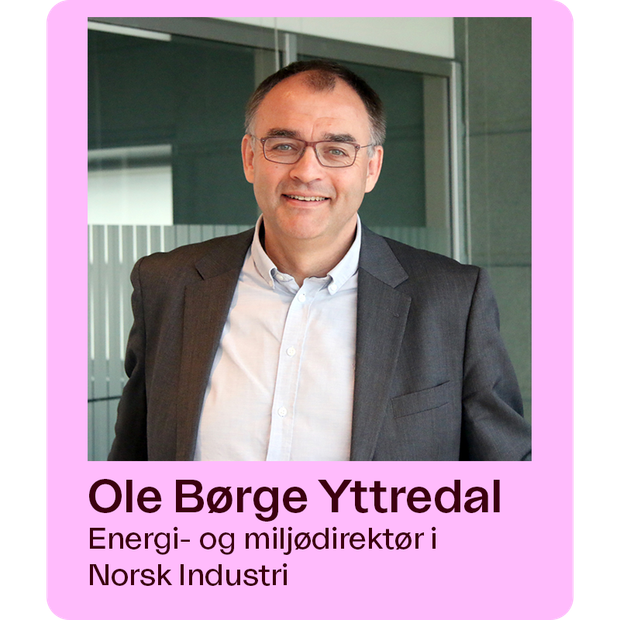 Ole Børge Yttredal, Energi- og miljødirektør i Norsk Industri