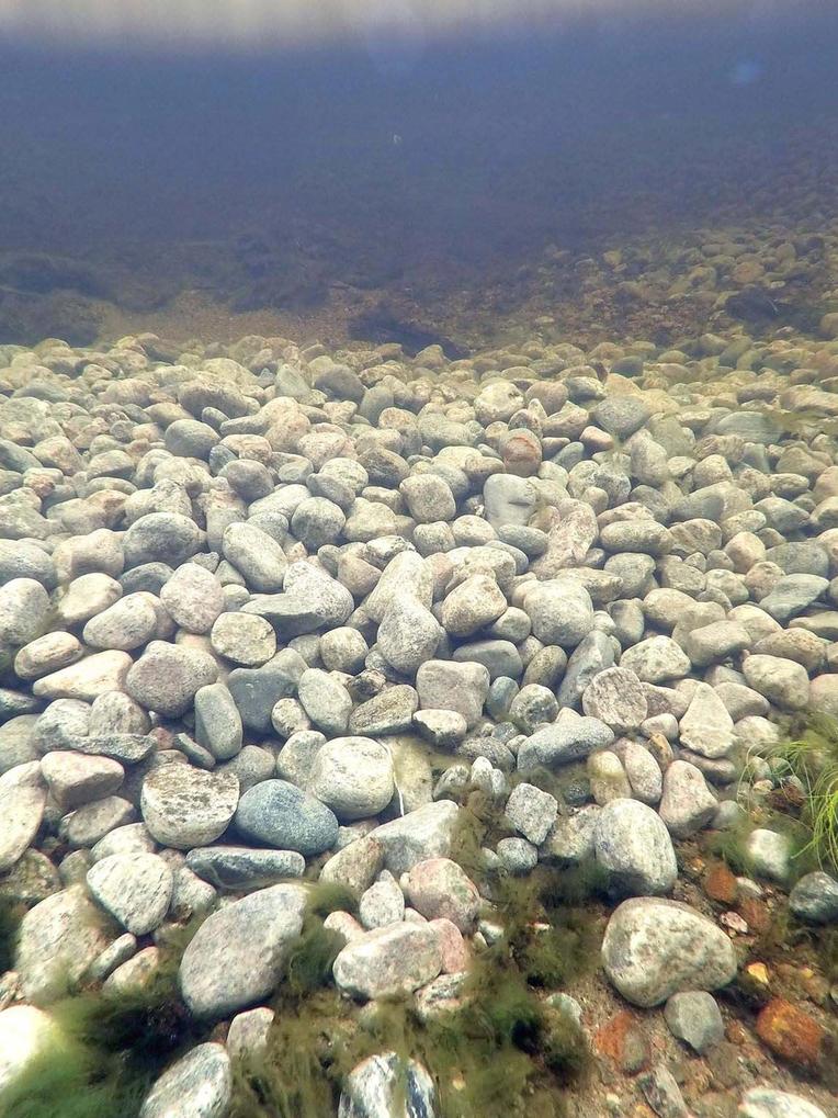 Stein, elv. Foto.