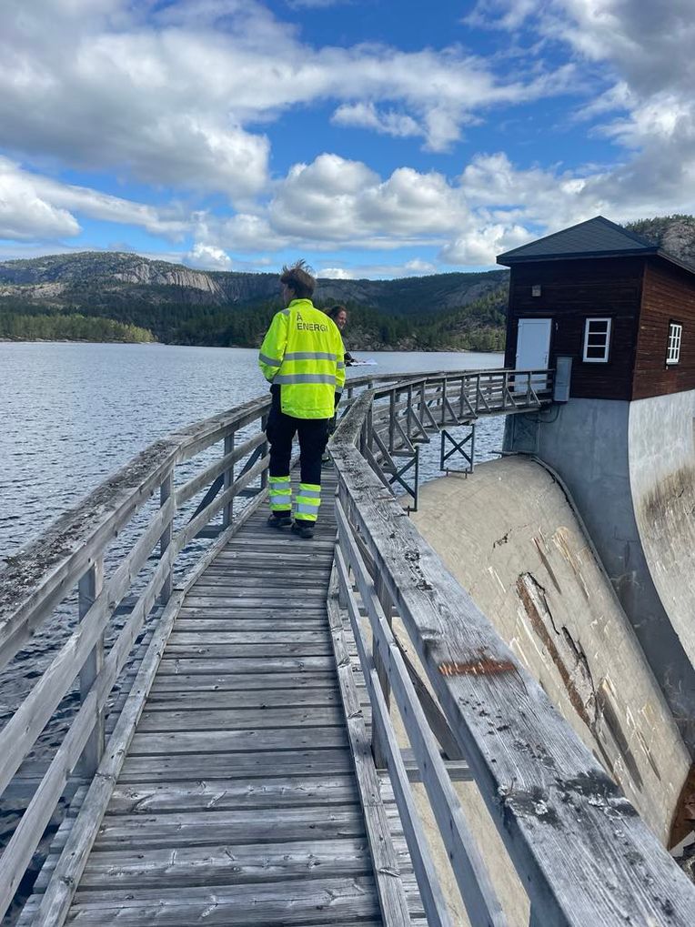 Student på dam