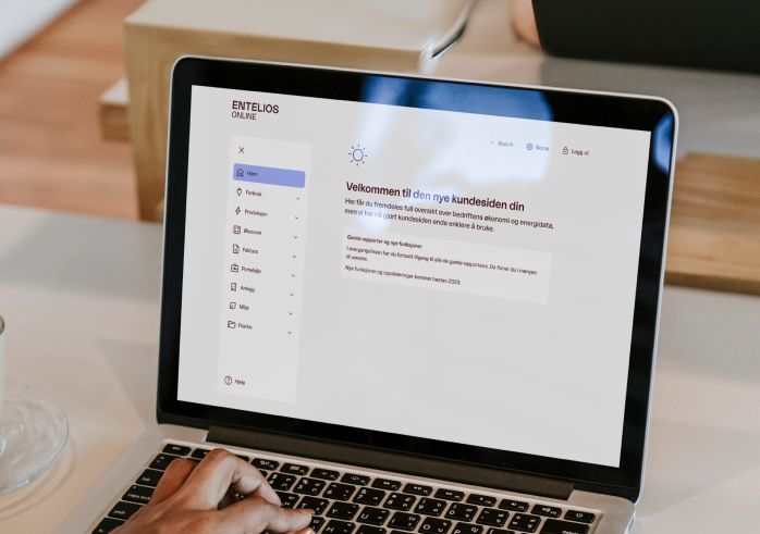 Entelios online on computer