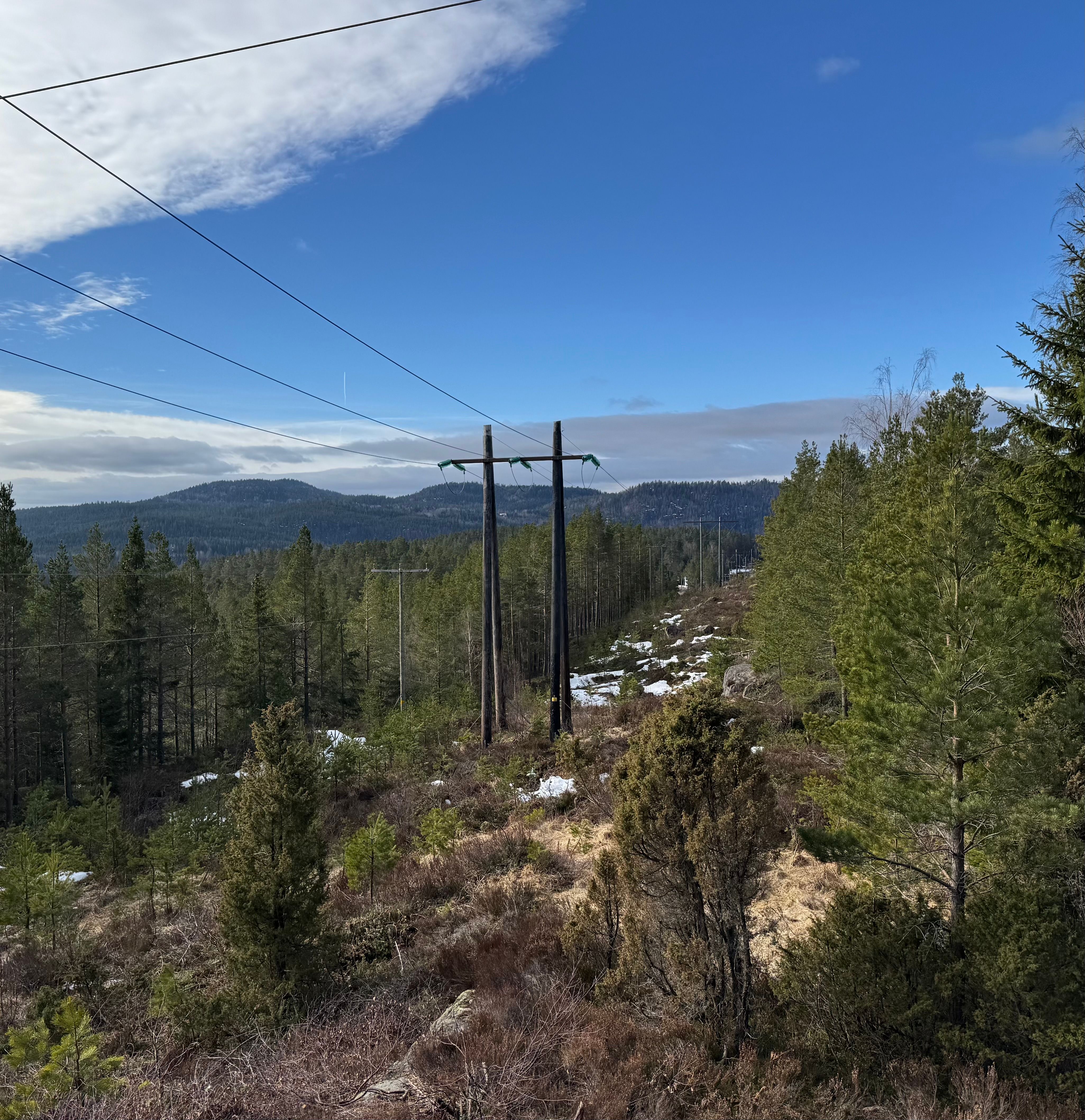 Bilde over eksisterende kraftlinje ved Nelaug