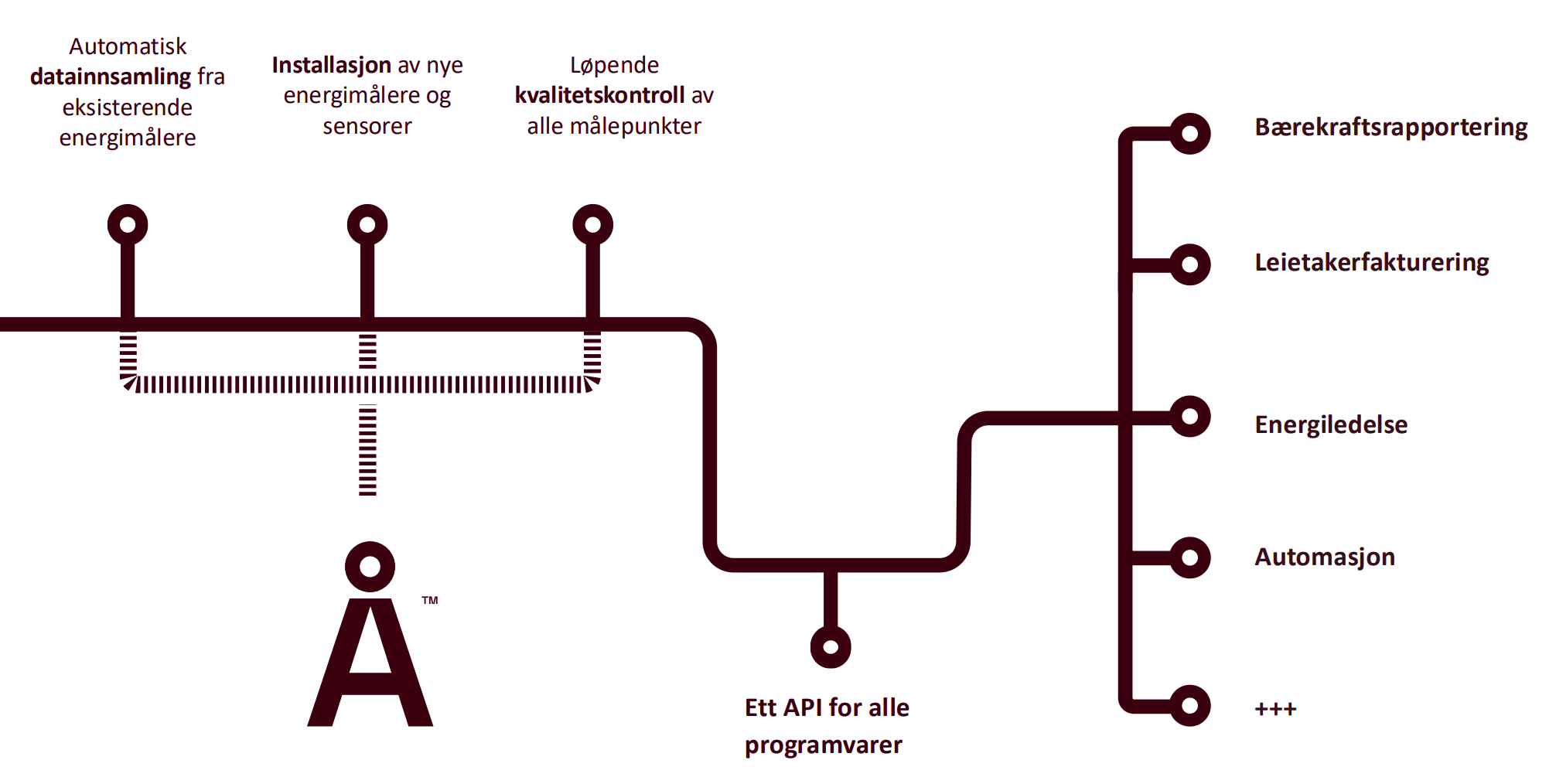 Verdikjede Å Insite