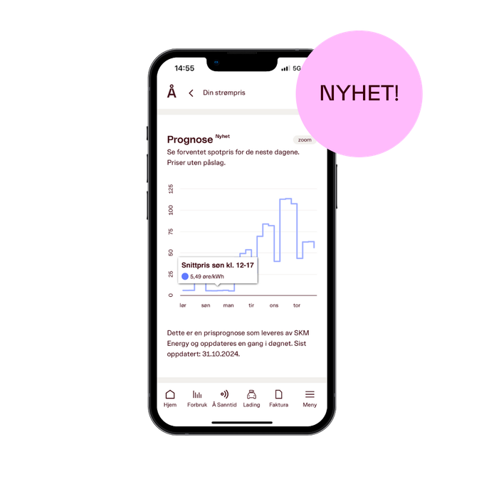 Bilde av prisprognose i Å-appen 