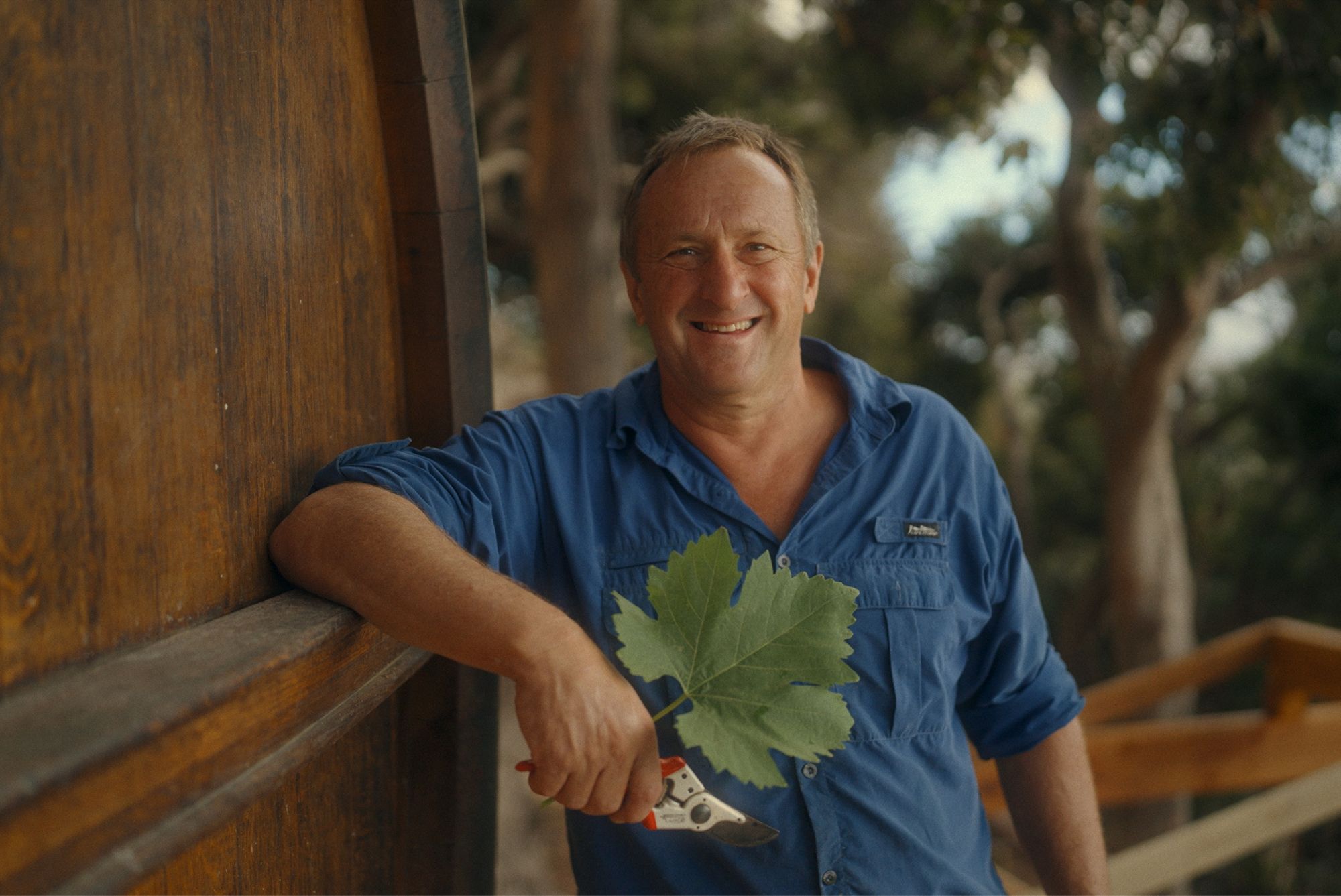 Winemaker - High Constantia preview 3
